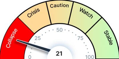 현재 위기 단계 진단